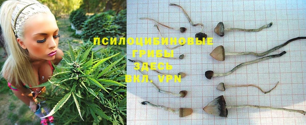 мет Гусиноозёрск
